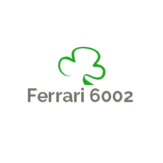 Ferrari 6002